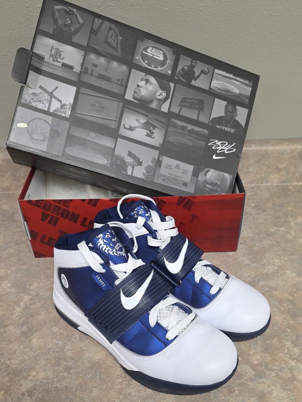 Nike Zoom Soldier IV TB Lebron James Shoes